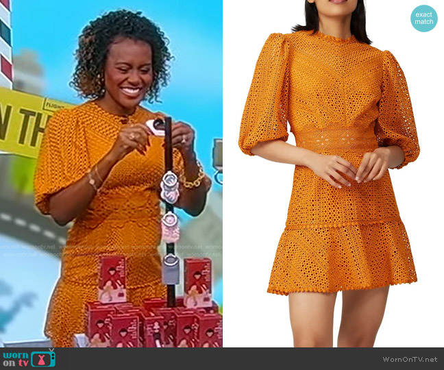 Saylor Milo Puff Sleeve Dress worn by Janai Norman on Good Morning America