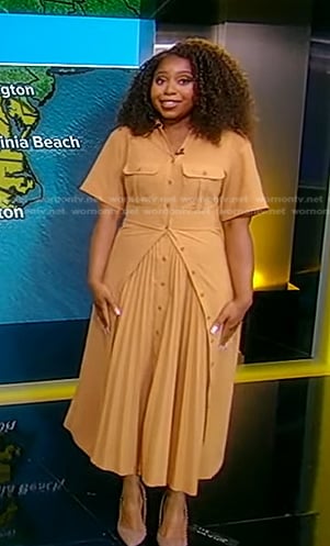 Somara Theodore’s beige pleated dress on Good Morning America