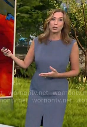 Stephanie Abrams' steel blue sheath dress on CBS Mornings