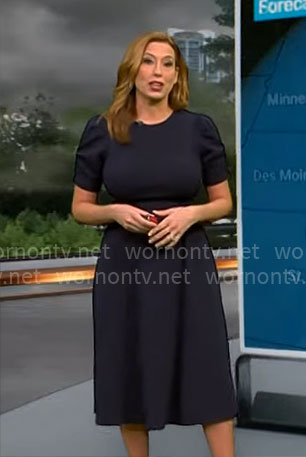 Stephanie Abrams' navy short sleeve a-line dress on CBS Mornings