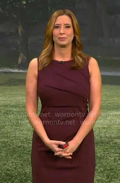 Stephanie Abrams' dark purple seamed dress on CBS Mornings