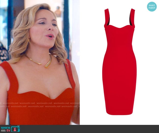 Victoria Beckham Curve Cami Sheath worn by Madolyn Addison (Kim Cattrall) on Glamorous