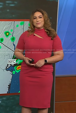 Violeta Yas’s pink cutout dress on NBC News Daily