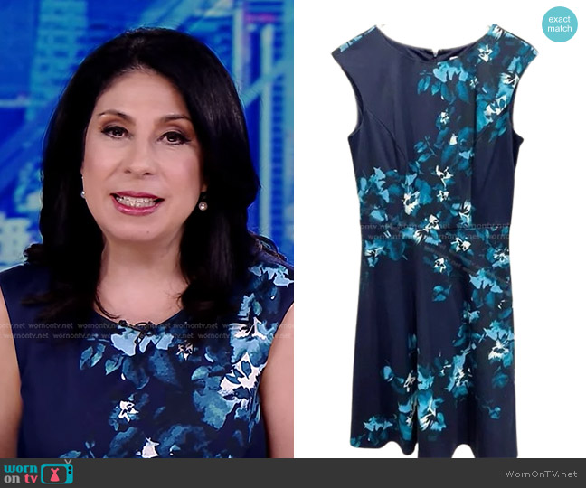 Wisp Stitch Fix Floral Sheath Dress worn by Alexis Christoforous on Good Morning America