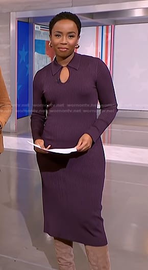 Zinhle Essamuah's purple ribbed dress on NBC News Daily