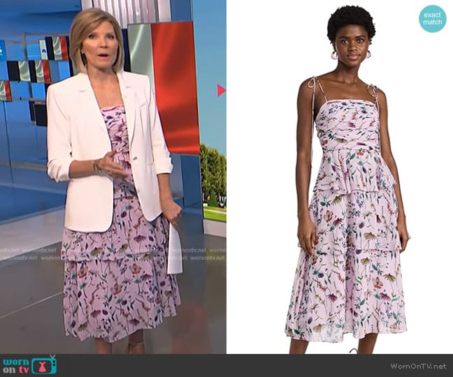 Amur Acacia Tie Strap Ruffle Dress worn by Kate Snow on NBC News Daily