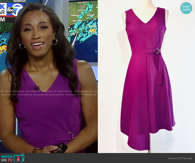 WornOnTV: Brittany Bell’s purple v-neck belted dress on Good Morning ...