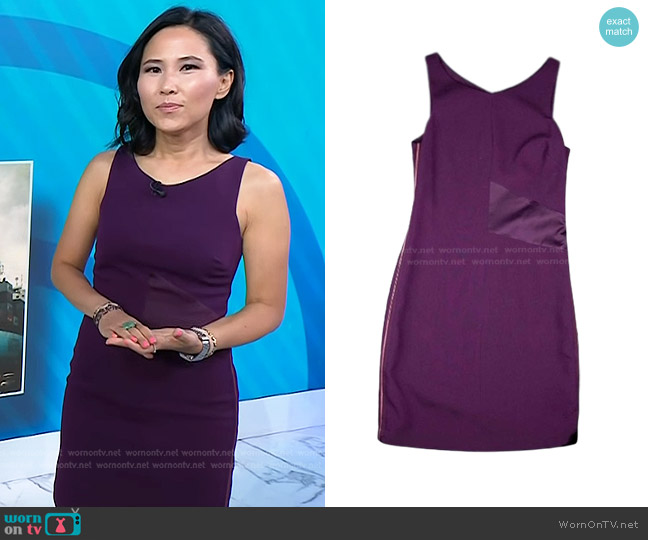 Armani Exchange Sleeveless Sheath Dress worn by Vicky Nguyen on Today