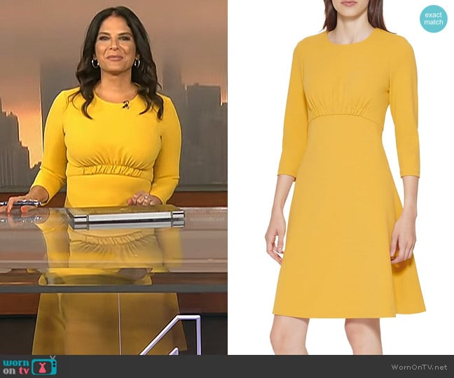 Calvin Klein Empire Waist Dress in Ochre worn by Darlene Rodriguez on Today