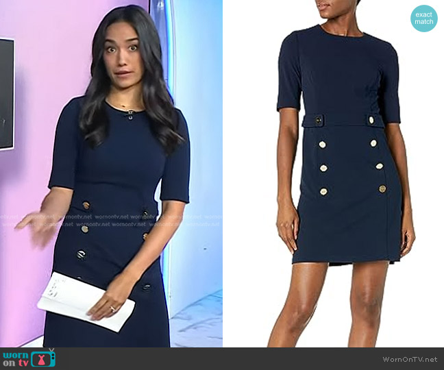 DKNY Button Front Sheath Dress worn by Emilie Ikeda on Today