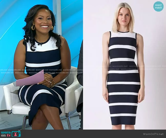 Gracia Sleeveless Colorblock Zip-Back Bodycon Dress worn by Sheinelle Jones on Today