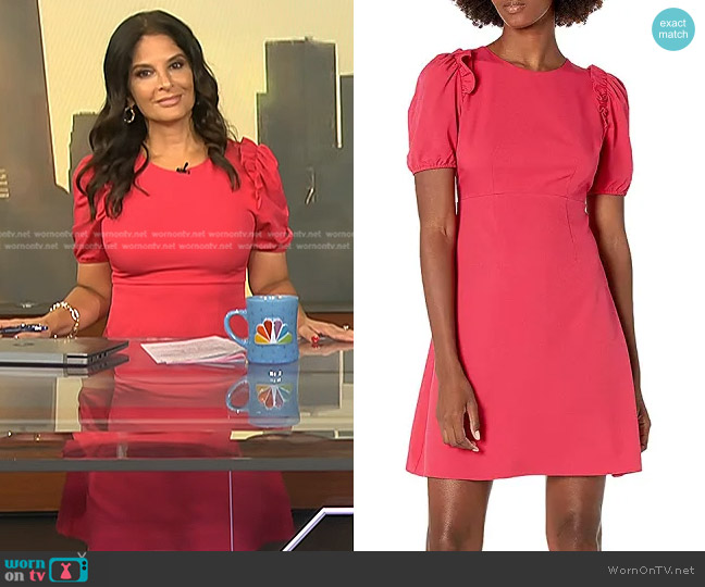 WornOnTV: Darlene’s pink puff sleeve dress on Today | Darlene Rodriguez ...