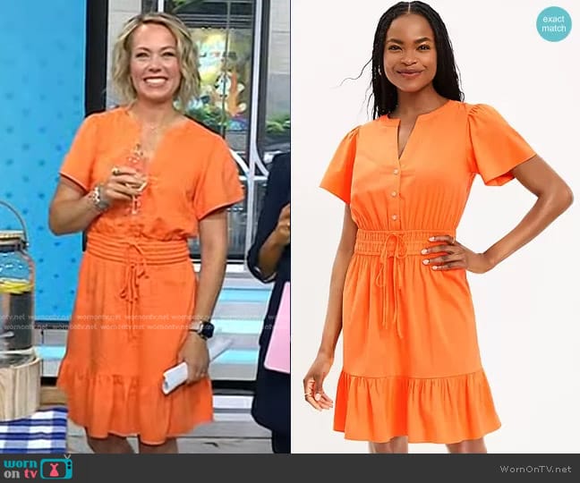 Loft Smocked Tie Waist Flounce Dress worn by Dylan Dreyer on Today