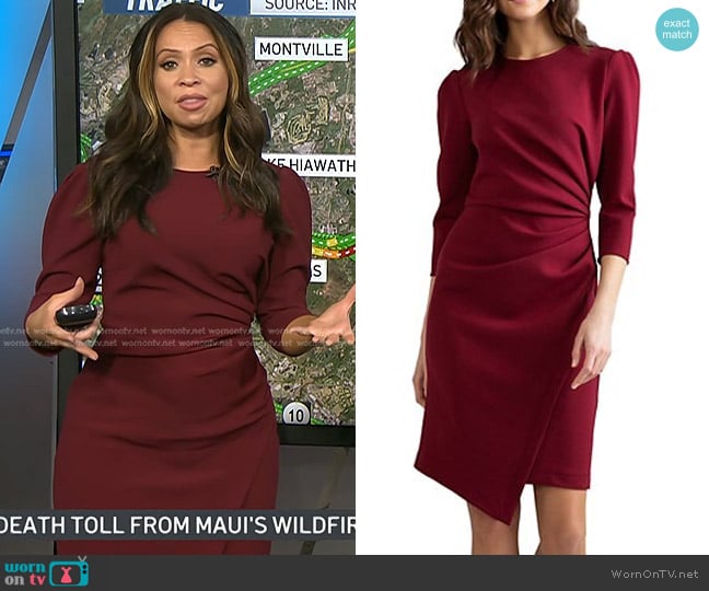 Shoshanna Ralph Sheath Dress worn by Adelle Caballero on Today