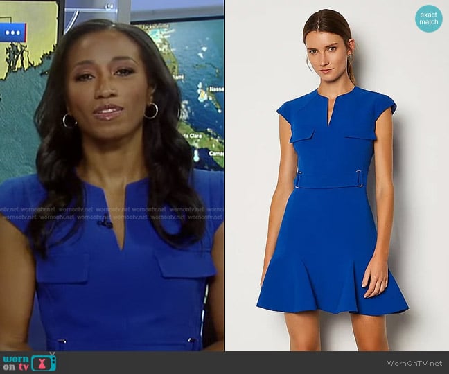 Karen Millen Square D Ring A Line Dress worn by Brittany Bell on Good Morning America