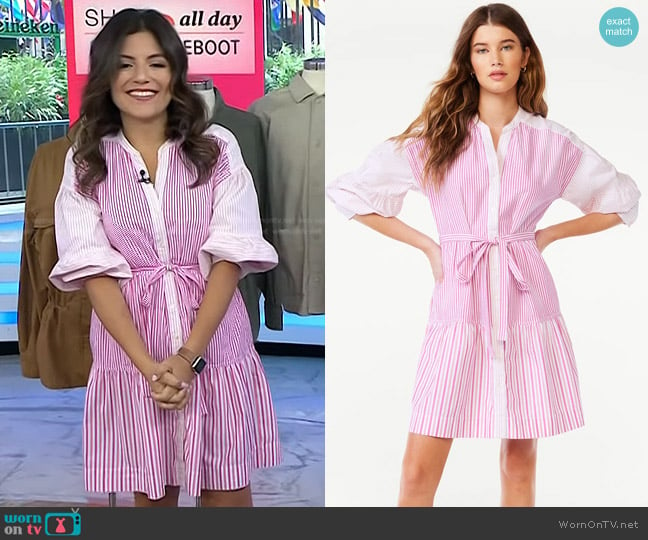 Free Assembly Tiered Long Sleeve Shirt Dress in Pink Stripes worn by Adrianna Barrionuevo Brach on Today