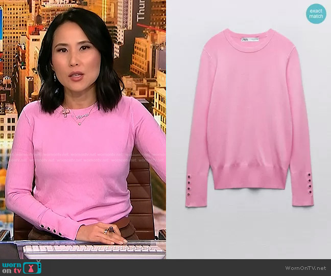 Zara Basic Knit Sweater worn by Vicky Nguyen on NBC News Daily