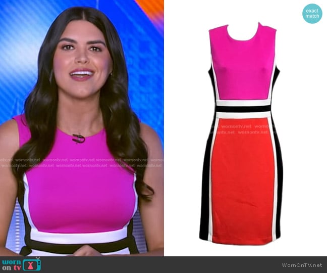 Calvin Klein Sleeveless Colorblock Sheath Dress worn by Melissa Adan on Good Morning America