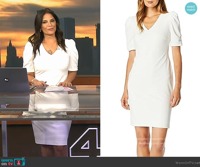 Calvin Klein V-Neck Sheath with Ruched Sleeves Dress worn by Darlene Rodriguez on Today