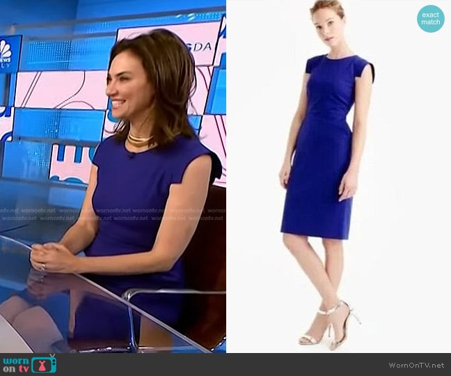 J. Crew Resume Dress worn by Jennifer Breheny Wallace on NBC News Daily