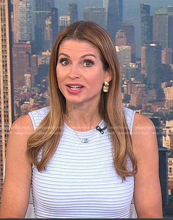 Jen Maxfield's blue striped dress on Today