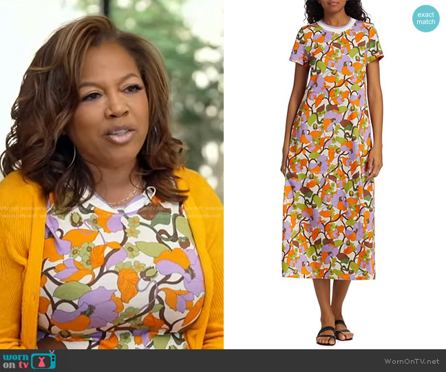 La DoubleJ Edition 31 Sporty Swing Dress worn by Danyel Smith on Good Morning America