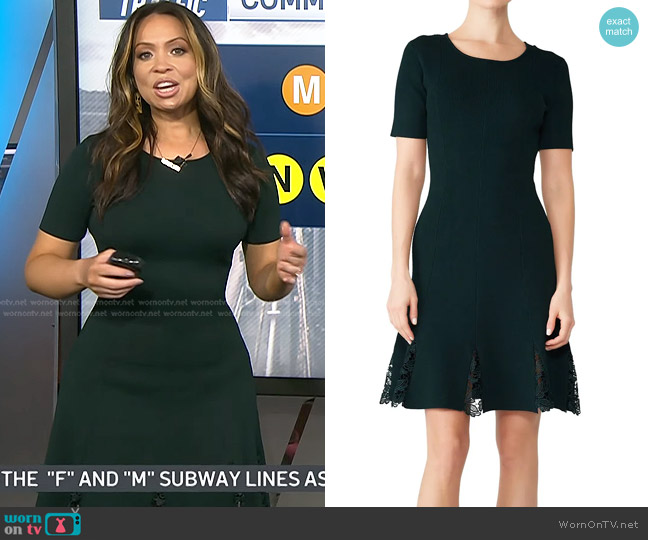 Sachin & Babi Serra Knit Dress worn by Adelle Caballero on Today