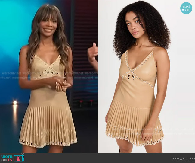 Simkhai Jerri Laser Cut Vegan Leather Mini Dress worn by Zuri Hall on Access Hollywood