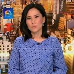 Vicky’s blue polka dot blouse on NBC News Daily