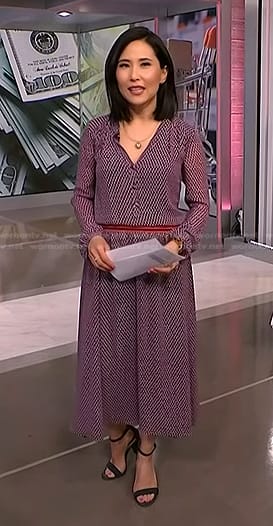 Vicky's purple geometric print dress on NBC News Daily