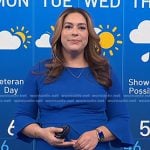 Violeta Yas’s blue bell sleeve sheath dress on NBC News Daily