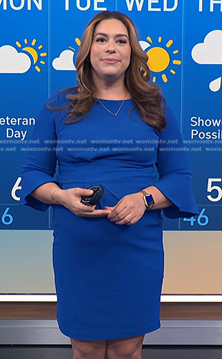 Violeta Yas's blue bell sleeve sheath dress on NBC News Daily