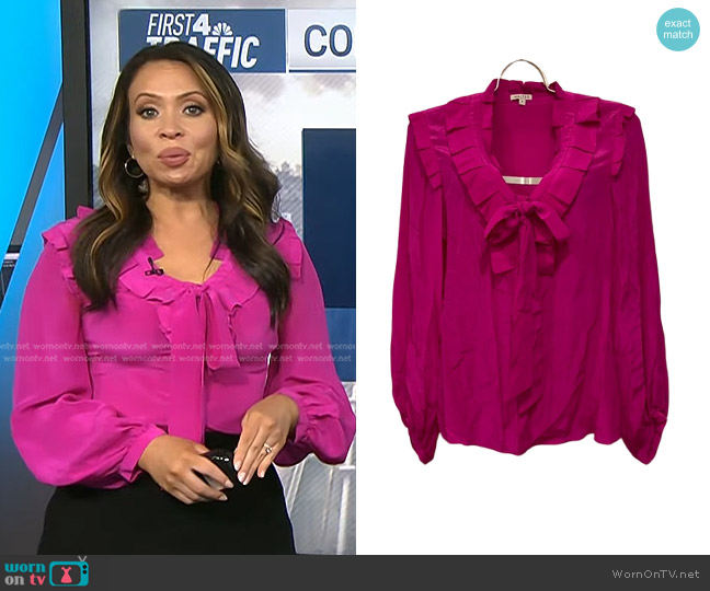 Walter Tie Neck Silk Blouse worn by Adelle Caballero on Today