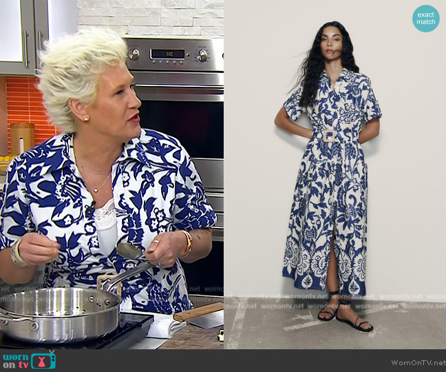 Zara Midi Floral Print Dress worn by Anne Burrell on Today