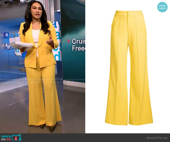 Alice + Olivia Dylan High-Waist Pants worn by Morgan Radford on NBC News Daily