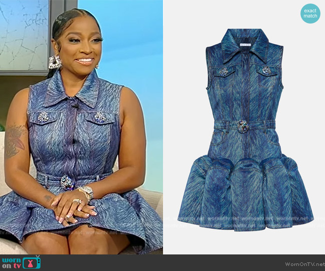 Area Printed denim minidress worn by Toya Johnson-Rushing on Tamron Hall Show