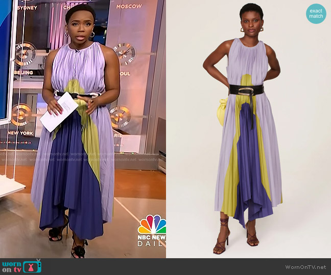 Bibhu Mohapatra Collective Pleated Panel Dress worn by Zinhle Essamuah on NBC News Daily