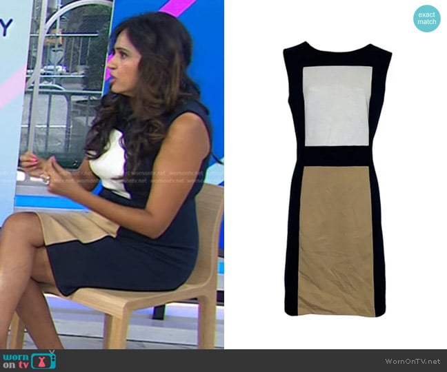 Calvin Klein Colorblock Sleeveless Sheath Dress worn by Dr. Sue Varma on Today