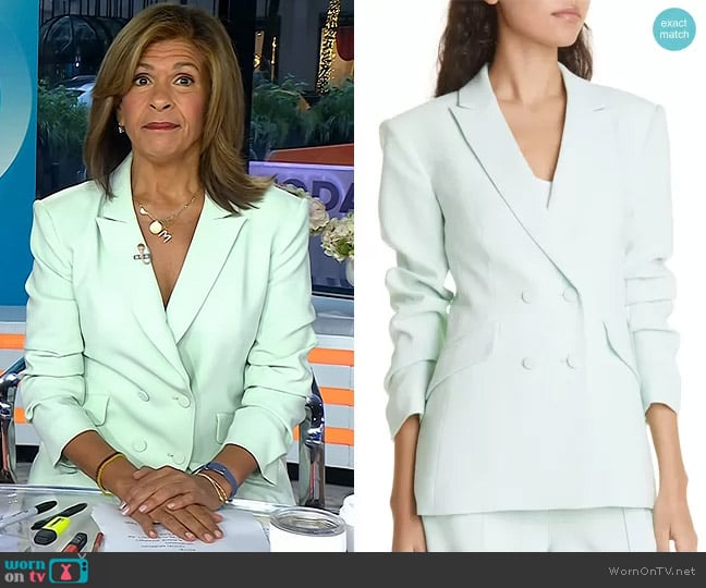 Cinq a Sept Kris Ruched Sleeve Double Breasted Blazer in Celadon worn by Hoda Kotb on Today