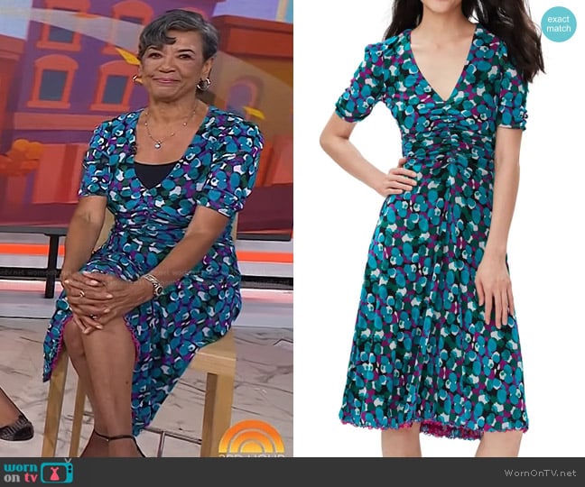 Diane von Furstenberg Koren Reversible Dress worn by Sonia Manzano on Today