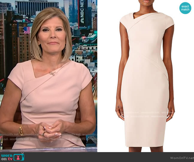 L.K. Bennett Sissi Dress worn by Kate Snow on NBC News Daily