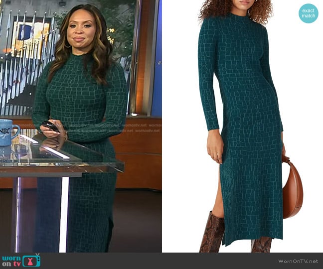 Staud Neville Dress worn by Adelle Caballero on Today