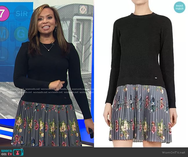 Ted Baker Izitaa Oracle Layered-Look Dress worn by Adelle Caballero on Today