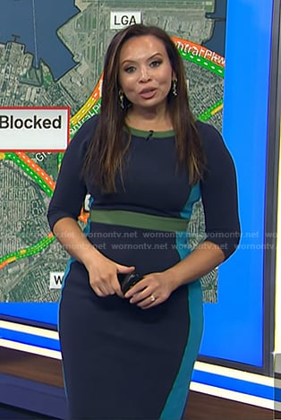 Adelle's navy colorblock dress on Today