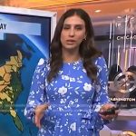 Angie Lassman’s blue floral dress on Today