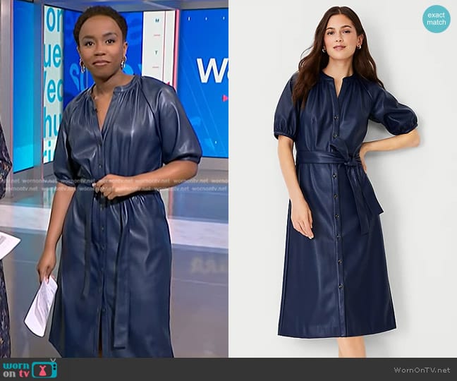 Ann Taylor Faux Leather Belted Dress worn by Zinhle Essamuah on NBC News Daily