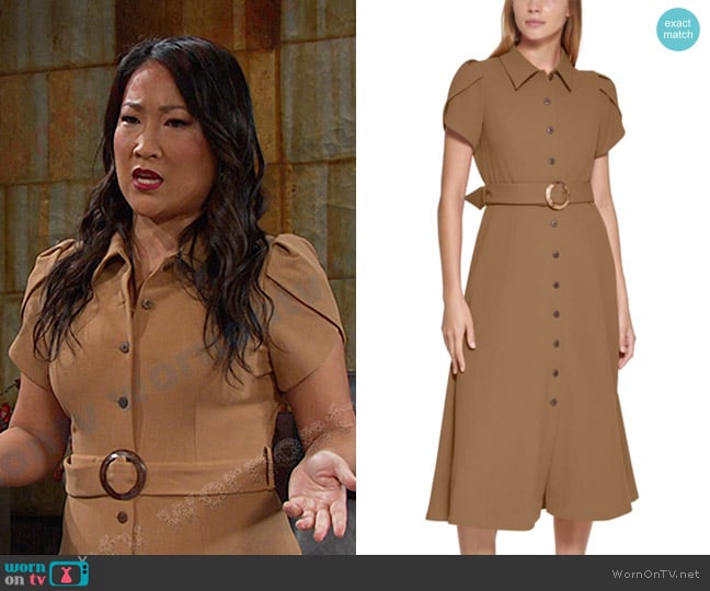 Calvin Klein Puff-sleeve Belted Midi Dress in Luggage worn by Melinda Trask (Tina Huang) on Days of our Lives