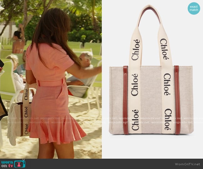 Chloe Woody Medium canvas tote worn by Brynn Whitfield on The Real Housewives of New York City