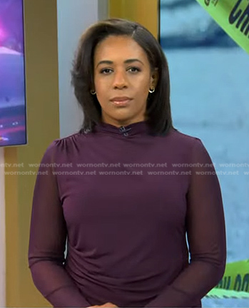 Dana Griffin's purple mesh long sleeve top on Today