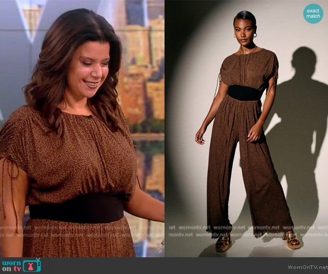 Diane von Furstenberg Andra Mesh Jumpsuit worn by Ana Navarro on The View